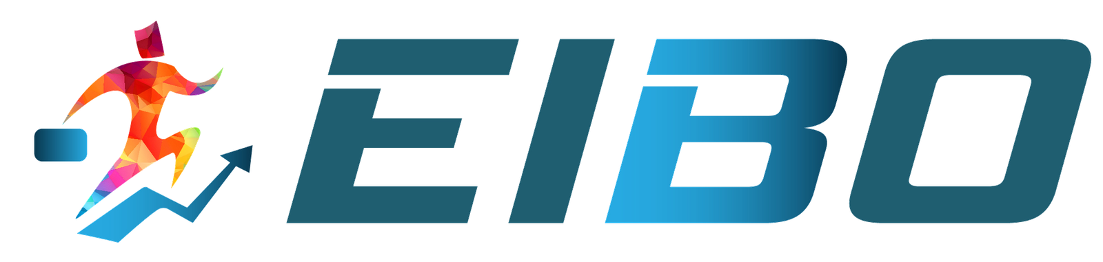 EIBO Services Pvt. Ltd. Official Logo